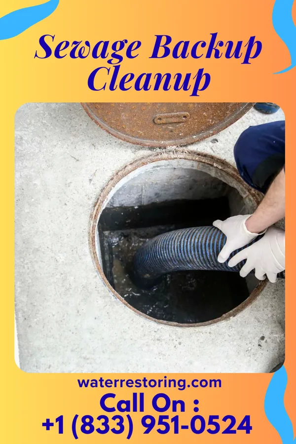 Sewage Backup Cleanup in Meyer, IA